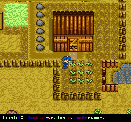 Watering your crops in Harvest Moon.