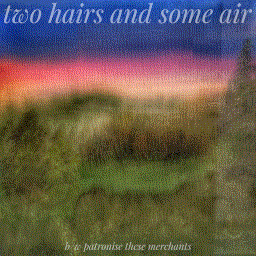 Two Hairs and Some Air. Tina Rosenthal, 2020. Oil on canvas.