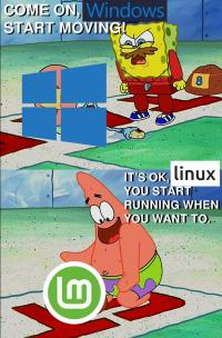 Spongebob shouts Come on Windows, start moving! Patrick says, It's okay Linux, you start running when you want to.