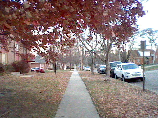 Late-autumn colours on a residential sidestreet.
