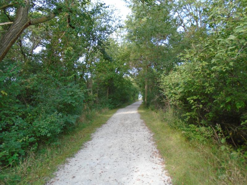 A limestone gravel trail disappears into a stand of trees.