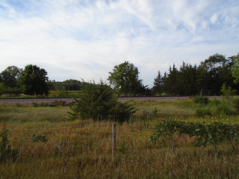 The railroad, being separated from the trail by about 5 yards of wildgrass and an ancient stone fence.