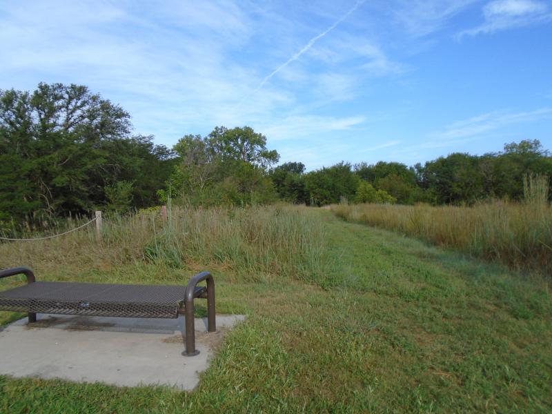 A bench on a cement slab near a grass pathway.
