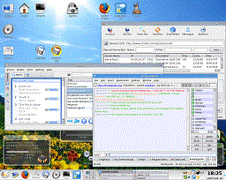 KDE running on Gentoo Linux provides a Windows-like user experience.