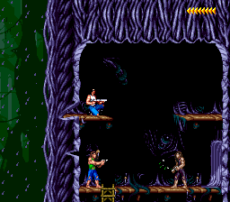 Image. Fighting in a hollow tree.