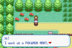 Image. Talking to an NPC on Route 1.
