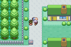 Image. An old man lying in the middle of the road.