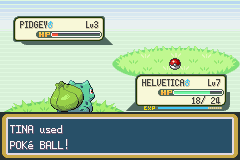 Image. Catching a Pidgey.