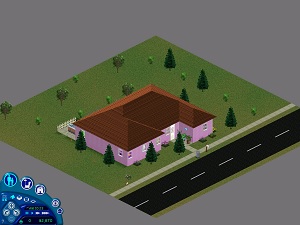 Princess and the Pad